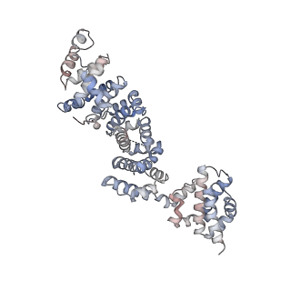 26001_7tms_P_v1-3
V-ATPase from Saccharomyces cerevisiae, State 2