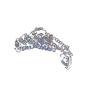 26001_7tms_a_v1-3
V-ATPase from Saccharomyces cerevisiae, State 2