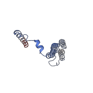 26001_7tms_c_v1-3
V-ATPase from Saccharomyces cerevisiae, State 2