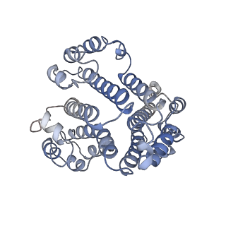 26001_7tms_d_v1-4
V-ATPase from Saccharomyces cerevisiae, State 2