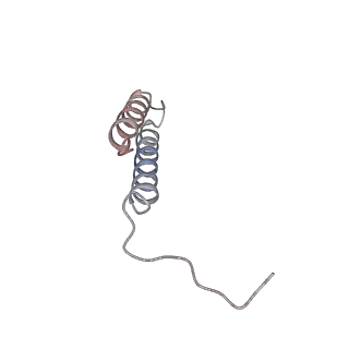 26001_7tms_e_v1-3
V-ATPase from Saccharomyces cerevisiae, State 2