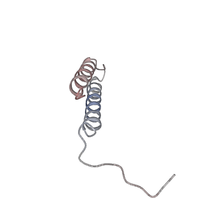 26001_7tms_e_v1-4
V-ATPase from Saccharomyces cerevisiae, State 2