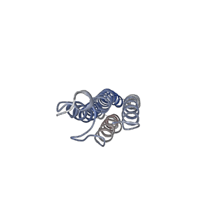 26001_7tms_g_v1-3
V-ATPase from Saccharomyces cerevisiae, State 2