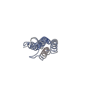 26001_7tms_g_v1-4
V-ATPase from Saccharomyces cerevisiae, State 2