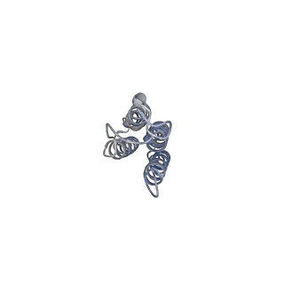 26001_7tms_i_v1-3
V-ATPase from Saccharomyces cerevisiae, State 2
