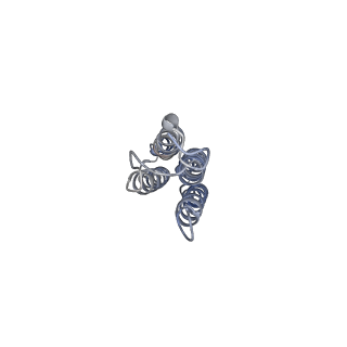 26001_7tms_i_v1-4
V-ATPase from Saccharomyces cerevisiae, State 2