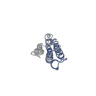 26001_7tms_l_v1-4
V-ATPase from Saccharomyces cerevisiae, State 2