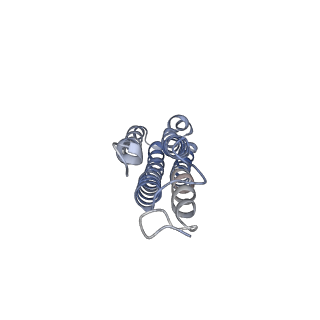 26001_7tms_m_v1-3
V-ATPase from Saccharomyces cerevisiae, State 2