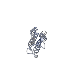 26001_7tms_n_v1-3
V-ATPase from Saccharomyces cerevisiae, State 2