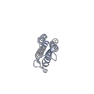 26001_7tms_n_v1-4
V-ATPase from Saccharomyces cerevisiae, State 2