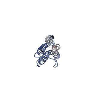 26001_7tms_o_v1-3
V-ATPase from Saccharomyces cerevisiae, State 2