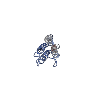 26001_7tms_o_v1-4
V-ATPase from Saccharomyces cerevisiae, State 2