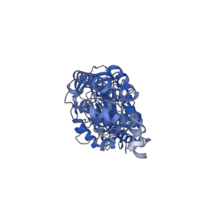 26002_7tmt_A_v1-3
V-ATPase from Saccharomyces cerevisiae, State 3
