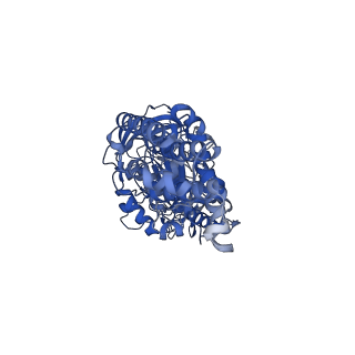 26002_7tmt_A_v1-4
V-ATPase from Saccharomyces cerevisiae, State 3