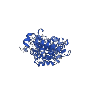 26002_7tmt_B_v1-3
V-ATPase from Saccharomyces cerevisiae, State 3