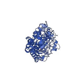 26002_7tmt_C_v1-3
V-ATPase from Saccharomyces cerevisiae, State 3