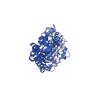 26002_7tmt_C_v1-4
V-ATPase from Saccharomyces cerevisiae, State 3