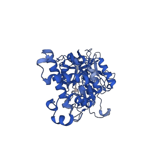 26002_7tmt_D_v1-3
V-ATPase from Saccharomyces cerevisiae, State 3