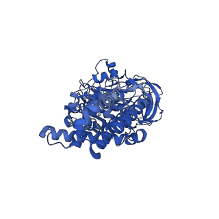 26002_7tmt_E_v1-3
V-ATPase from Saccharomyces cerevisiae, State 3