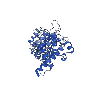 26002_7tmt_F_v1-3
V-ATPase from Saccharomyces cerevisiae, State 3