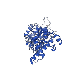 26002_7tmt_F_v1-4
V-ATPase from Saccharomyces cerevisiae, State 3