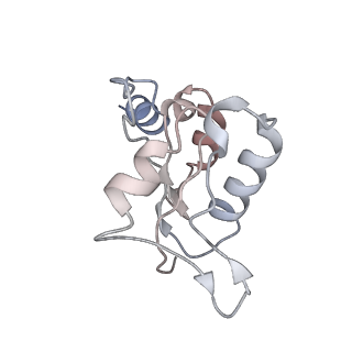 26002_7tmt_N_v1-3
V-ATPase from Saccharomyces cerevisiae, State 3
