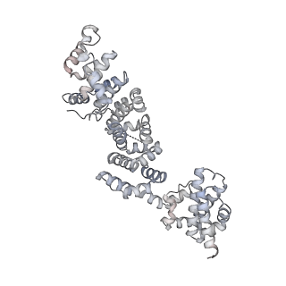 26002_7tmt_P_v1-3
V-ATPase from Saccharomyces cerevisiae, State 3