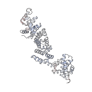 26002_7tmt_P_v1-4
V-ATPase from Saccharomyces cerevisiae, State 3