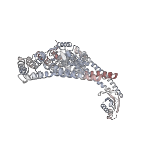 26002_7tmt_a_v1-4
V-ATPase from Saccharomyces cerevisiae, State 3