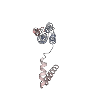 26002_7tmt_c_v1-3
V-ATPase from Saccharomyces cerevisiae, State 3