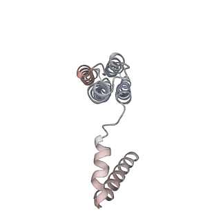 26002_7tmt_c_v1-4
V-ATPase from Saccharomyces cerevisiae, State 3