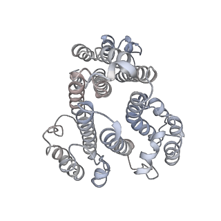 26002_7tmt_d_v1-4
V-ATPase from Saccharomyces cerevisiae, State 3