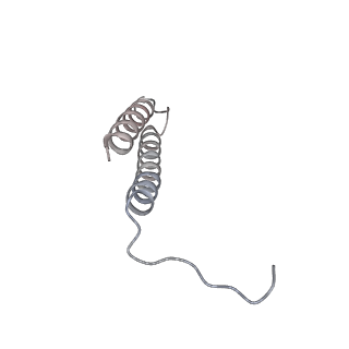 26002_7tmt_e_v1-4
V-ATPase from Saccharomyces cerevisiae, State 3