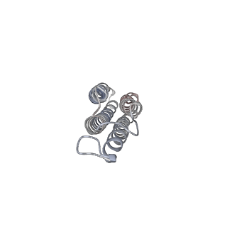 26002_7tmt_g_v1-4
V-ATPase from Saccharomyces cerevisiae, State 3