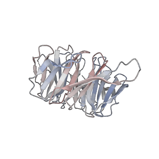 26003_7tmw_B_v1-2
Cryo-EM structure of the relaxin receptor RXFP1 in complex with heterotrimeric Gs