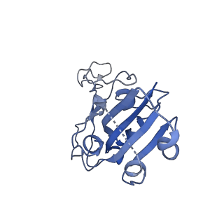 41374_8tm1_A_v1-0
Antibody N3-1 bound to RBDs in the up and down conformations