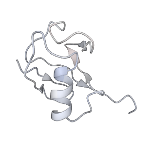 10531_6tnf_C_v1-2
Structure of monoubiquitinated FANCD2 in complex with FANCI and DNA