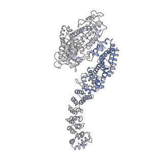 10532_6tng_A_v1-2
Structure of FANCD2 in complex with FANCI
