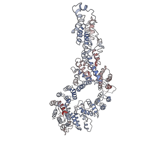 10532_6tng_B_v1-2
Structure of FANCD2 in complex with FANCI