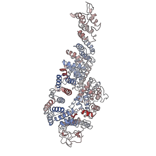 10534_6tni_A_v1-2
Structure of FANCD2 homodimer