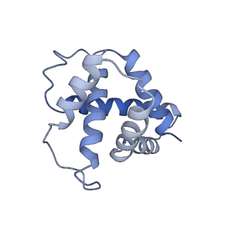 10535_6tnn_H_v1-2
Mini-RNase III (Mini-III) bound to 50S ribosome with precursor 23S rRNA