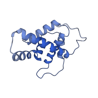 10535_6tnn_I_v1-2
Mini-RNase III (Mini-III) bound to 50S ribosome with precursor 23S rRNA