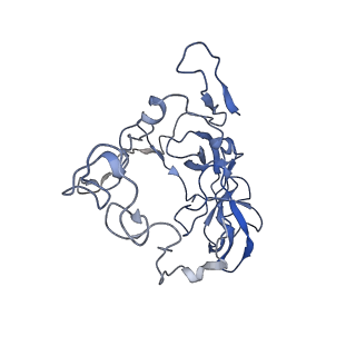 10535_6tnn_W_v1-2
Mini-RNase III (Mini-III) bound to 50S ribosome with precursor 23S rRNA
