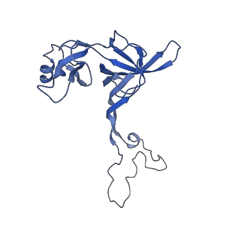 10535_6tnn_X_v1-2
Mini-RNase III (Mini-III) bound to 50S ribosome with precursor 23S rRNA