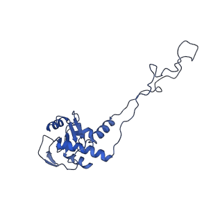 10535_6tnn_Y_v1-2
Mini-RNase III (Mini-III) bound to 50S ribosome with precursor 23S rRNA