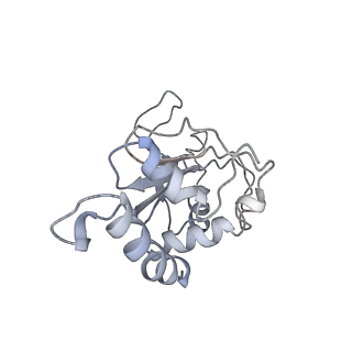 10535_6tnn_Z_v1-2
Mini-RNase III (Mini-III) bound to 50S ribosome with precursor 23S rRNA