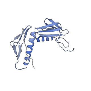 10535_6tnn_a_v1-2
Mini-RNase III (Mini-III) bound to 50S ribosome with precursor 23S rRNA