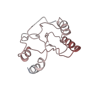 10535_6tnn_b_v1-2
Mini-RNase III (Mini-III) bound to 50S ribosome with precursor 23S rRNA