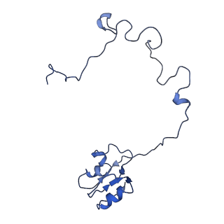 10535_6tnn_e_v1-2
Mini-RNase III (Mini-III) bound to 50S ribosome with precursor 23S rRNA
