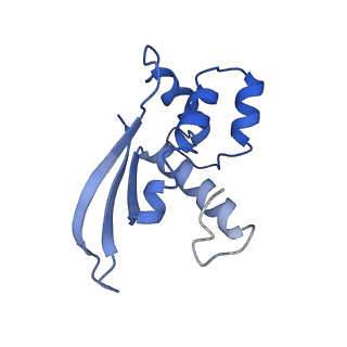 10535_6tnn_g_v1-2
Mini-RNase III (Mini-III) bound to 50S ribosome with precursor 23S rRNA